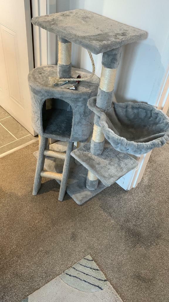 gumtree cat scratcher